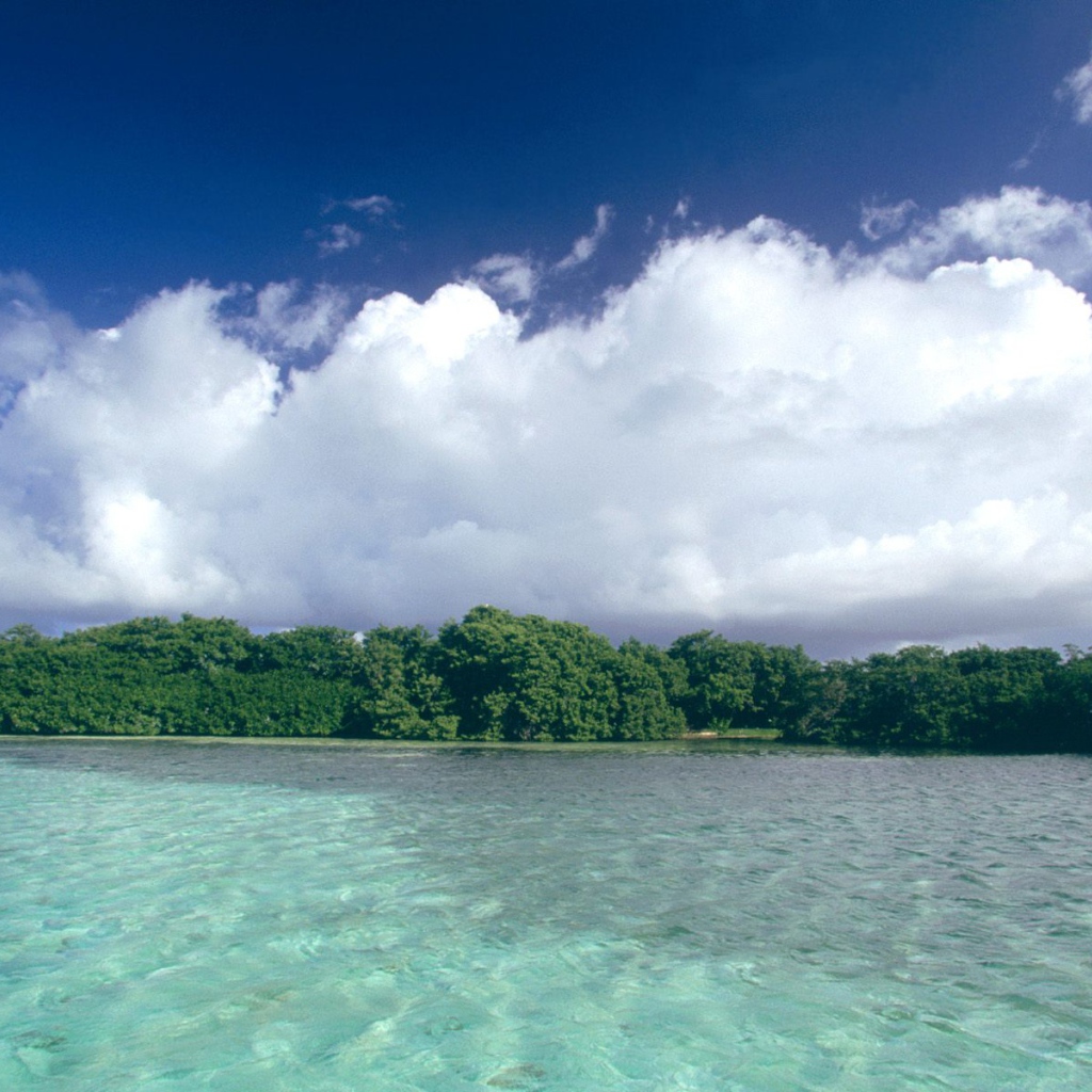 Остров Los Castilos