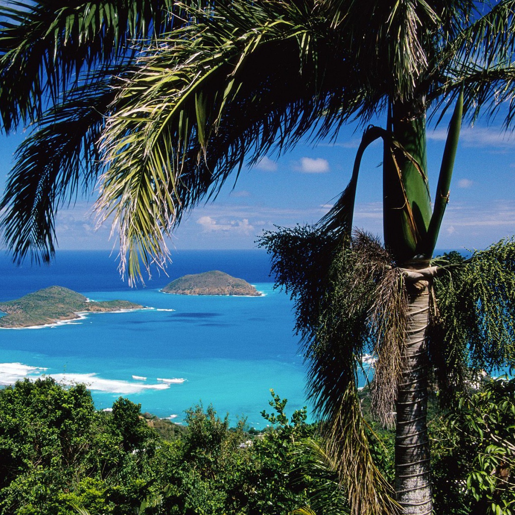 Острова Брас