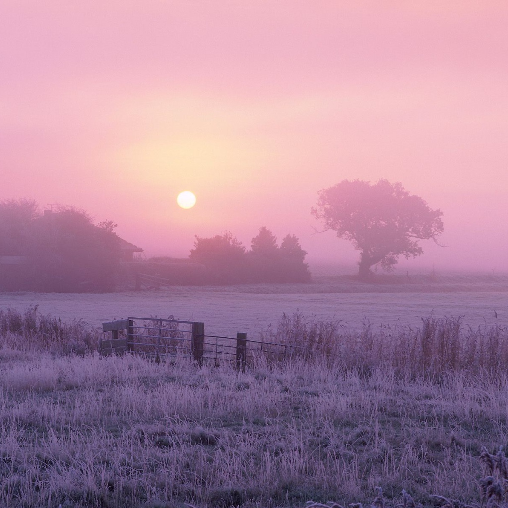 Сельхозугодья