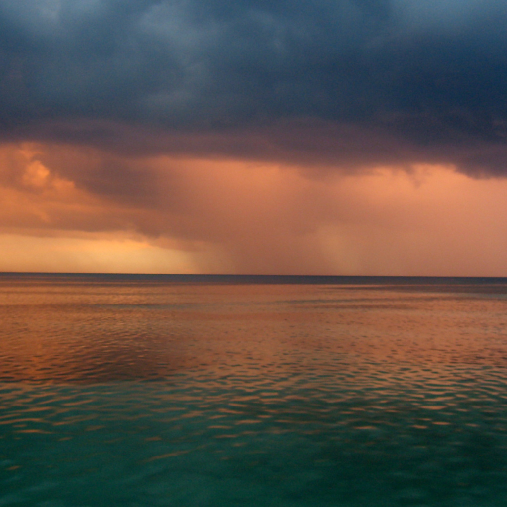 Ямайский дождь