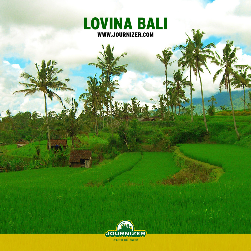 Lovina Бали