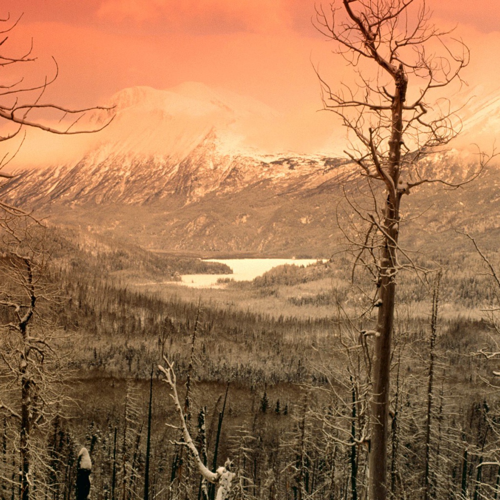 Охваченный зимой