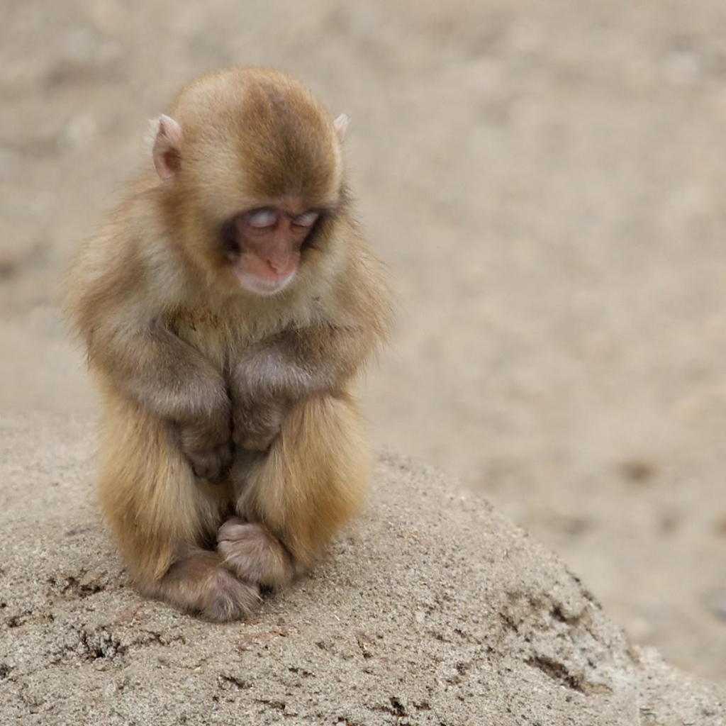 Холодная пора