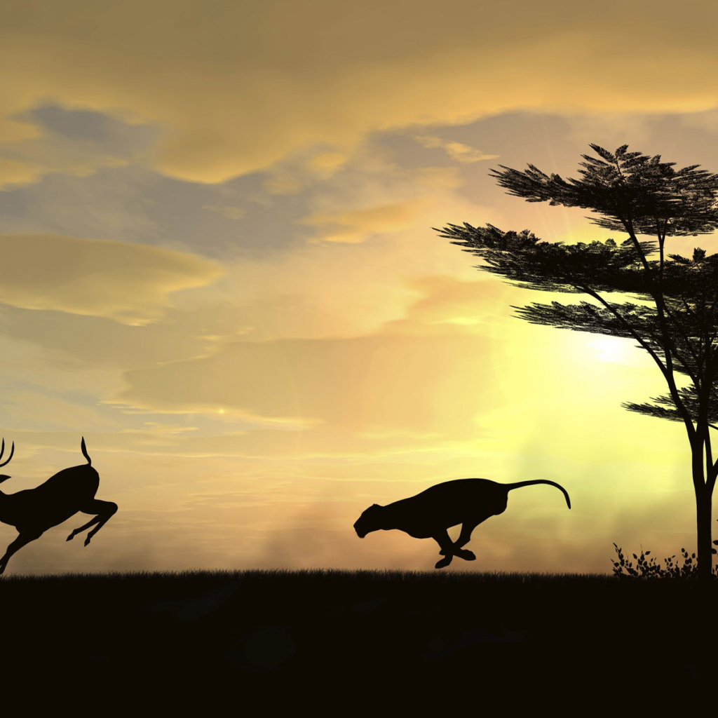 Охотник и жертва