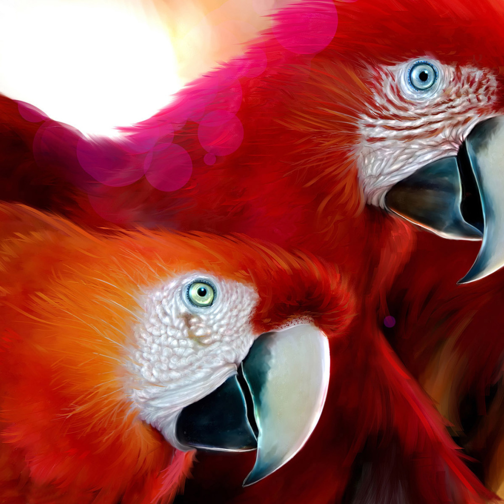 Красные попугаи