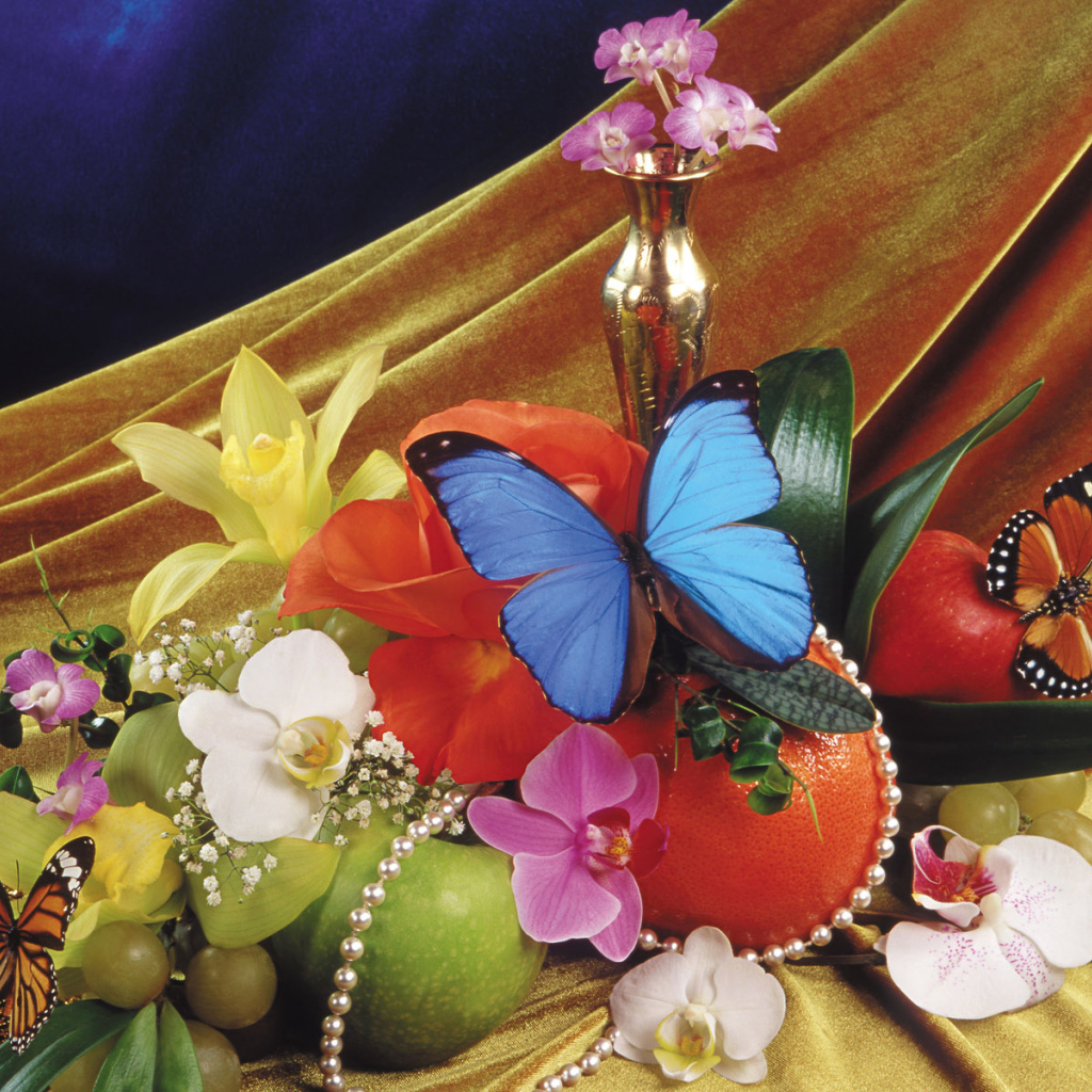 Прекрасная синяя бабочка