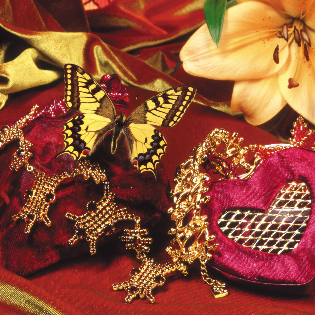 Бабочка и бархат