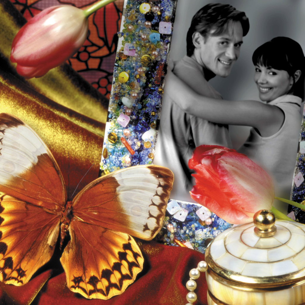 Бабочка у фотографии