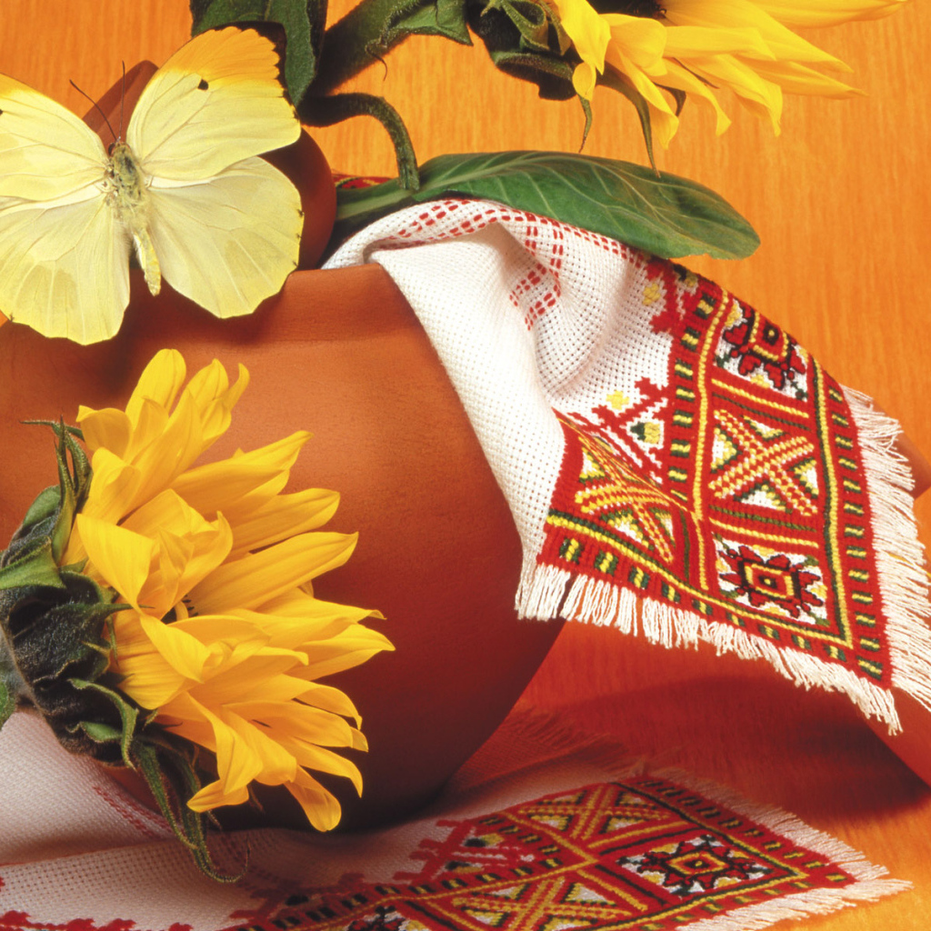 Красивая желтая бабочка на горшке