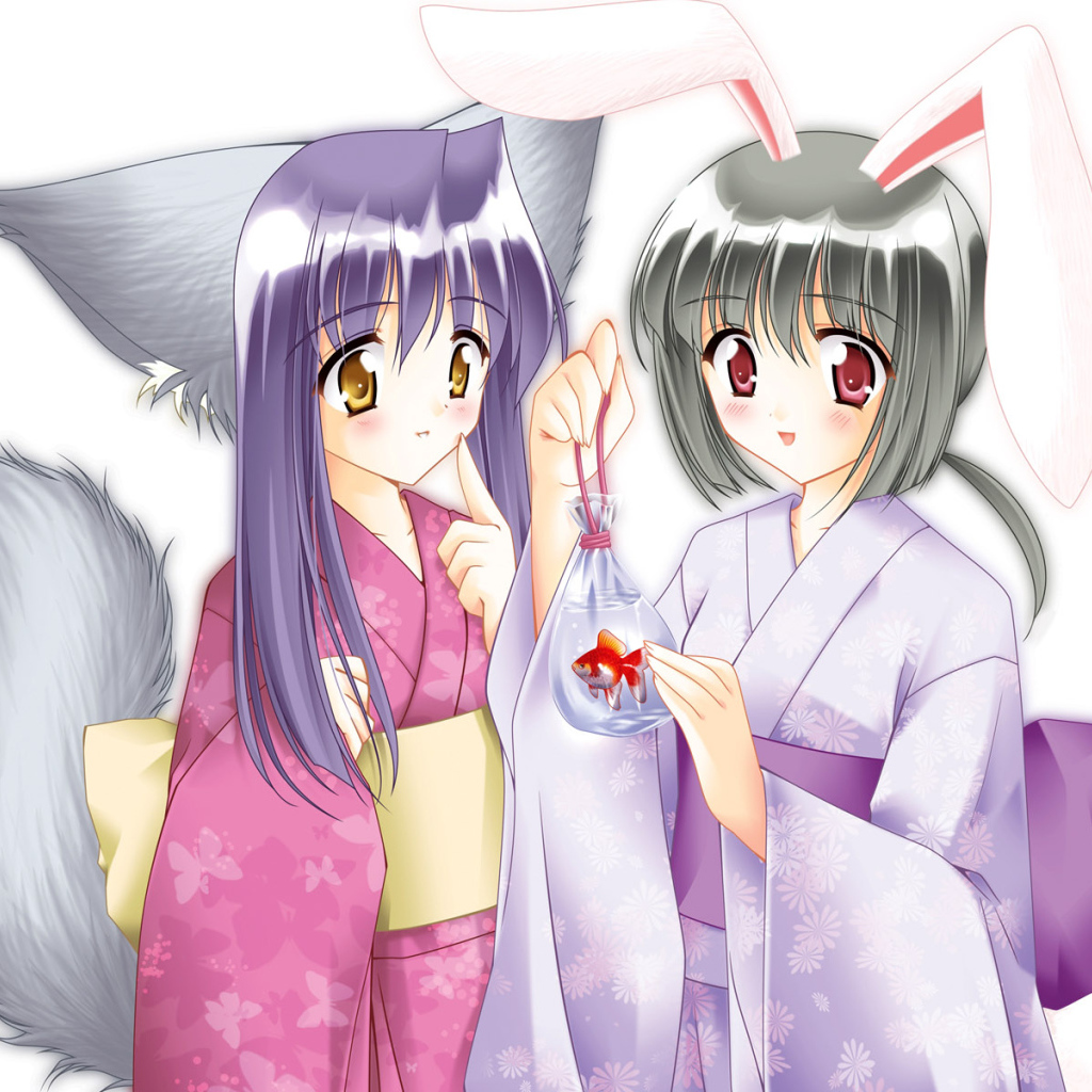 Кошка и Кролик