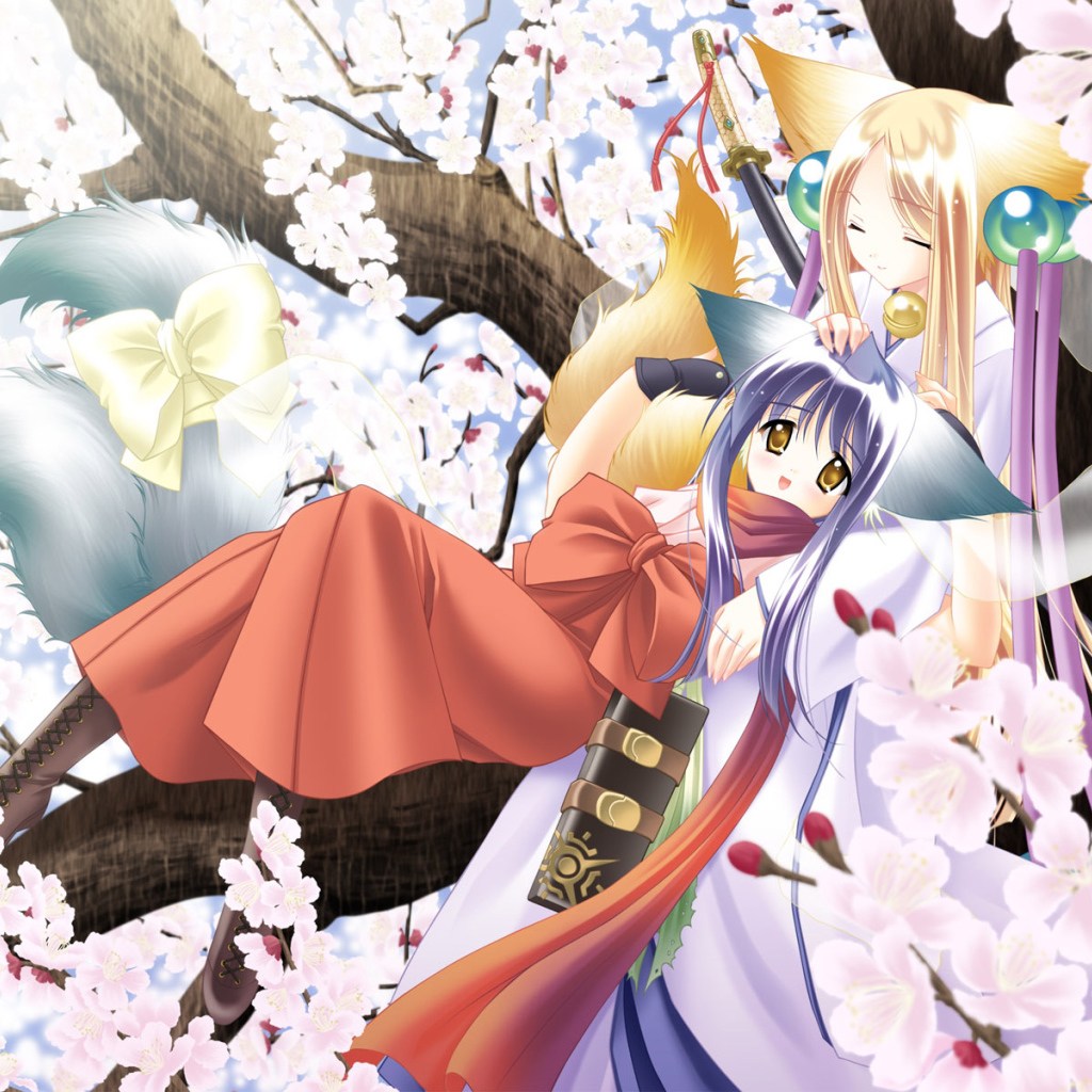 Под ветвями сакуры