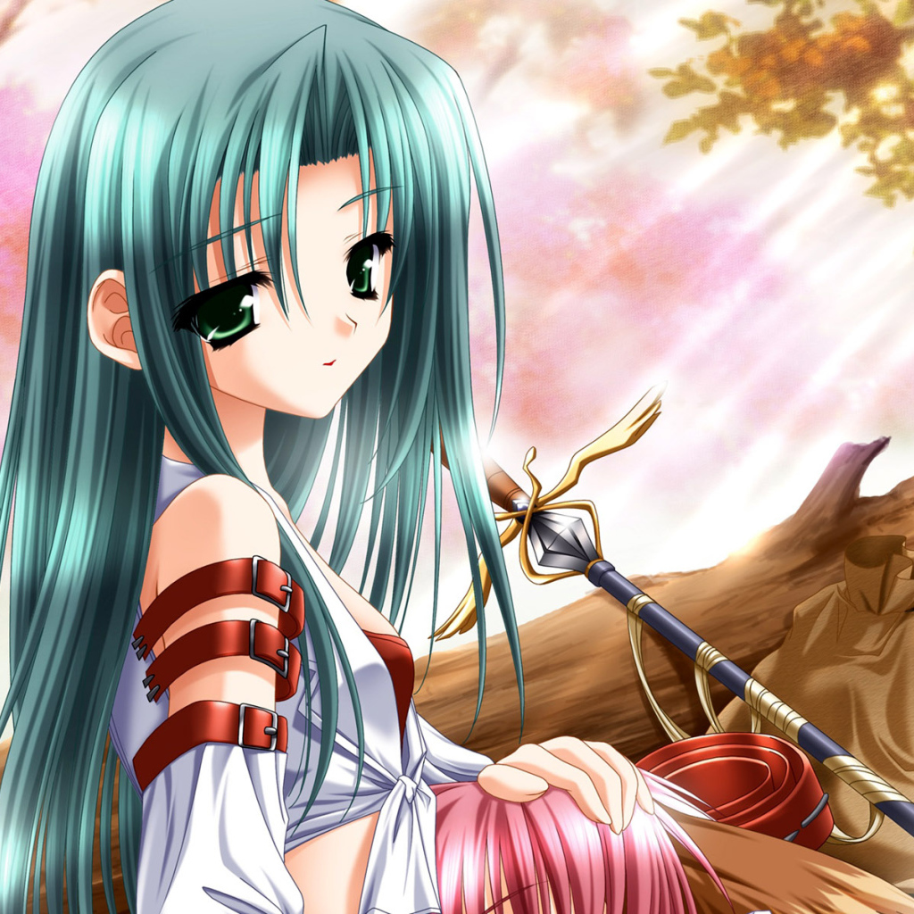 Путешественница