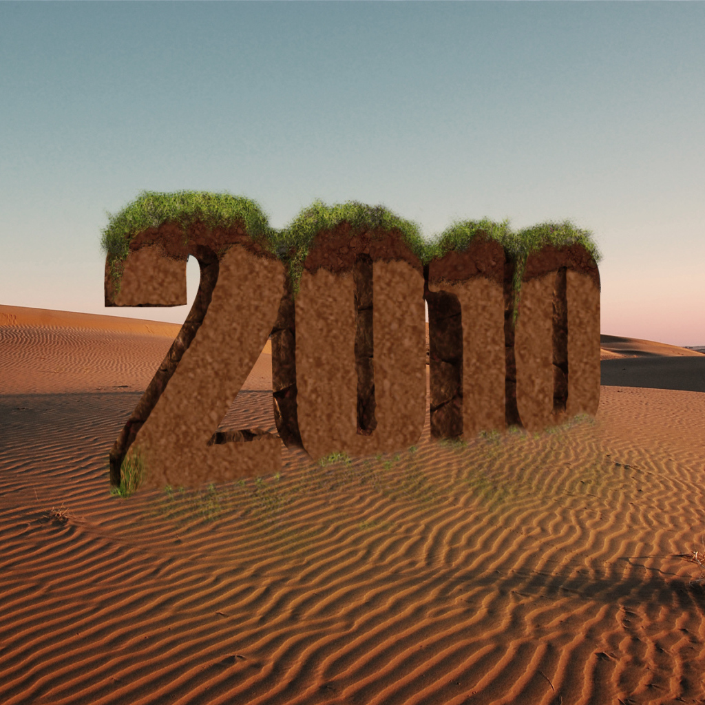 Новый год 2010 пустыня