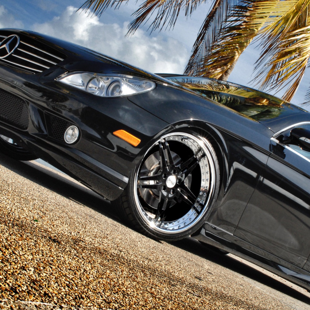 Черный Мерин