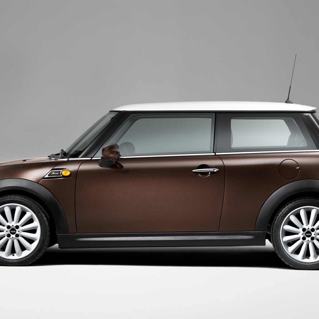 Коричневый Мини