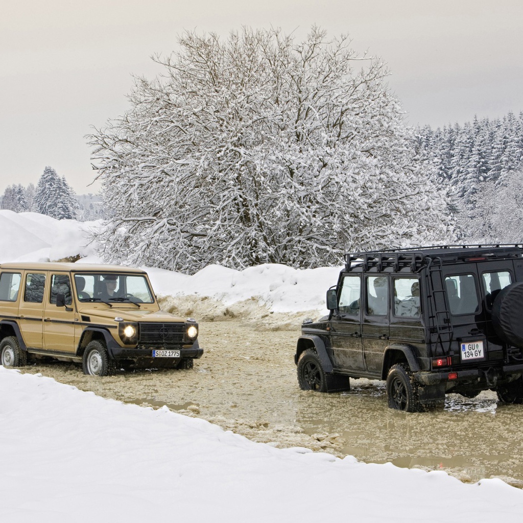 Внедорожники