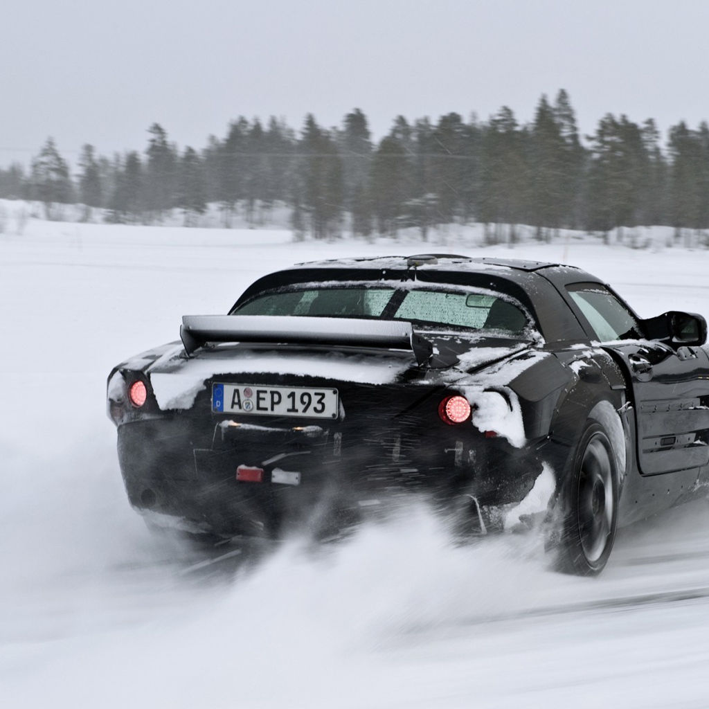 Зимняя гонка