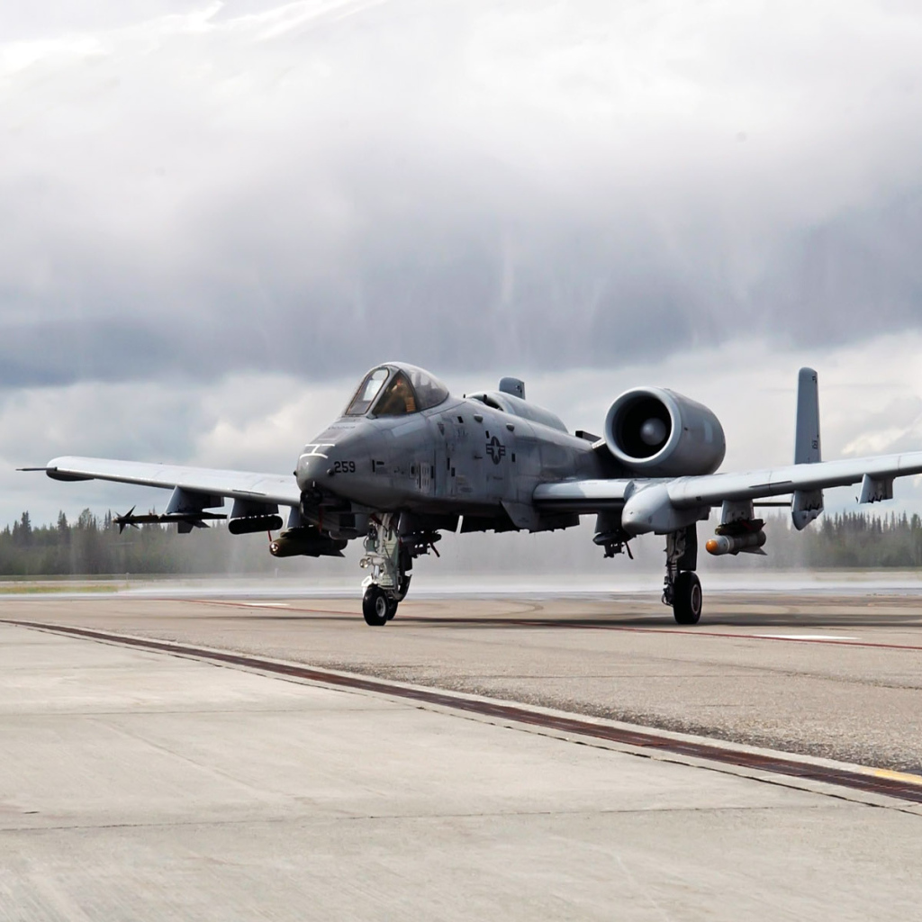 Военная авиация / истребитель на посадочной полосе