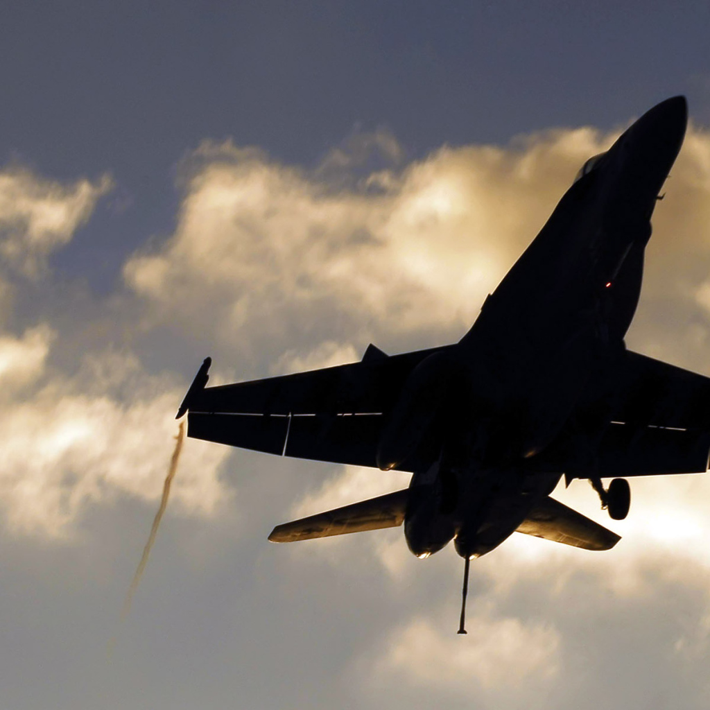 Военная авиация / на посадке