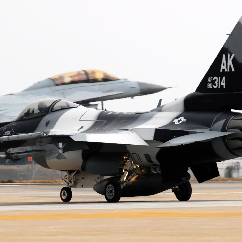 Военная авиация / полосатый истребитель