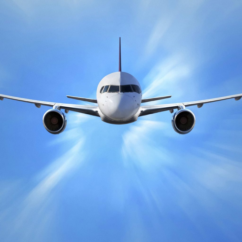 Птица счастья завтрашнего дня