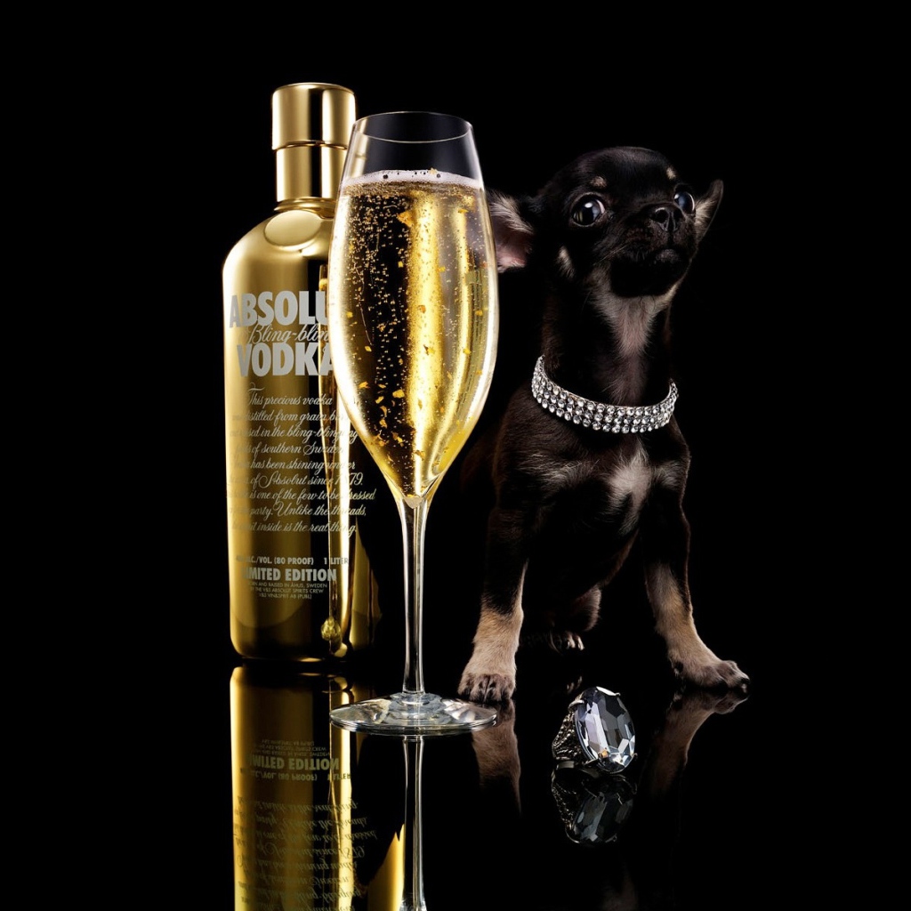 Реклама водки Absolute