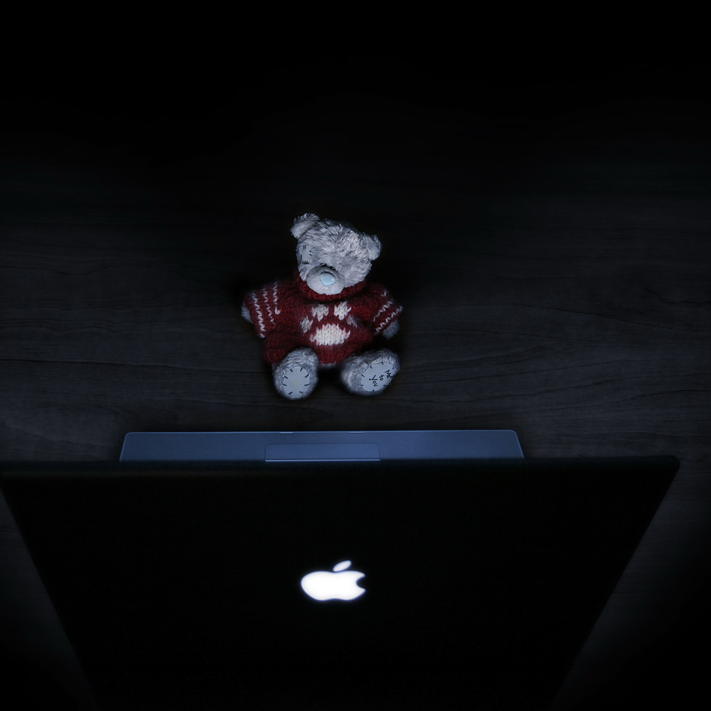 Игрушка у ноутбука