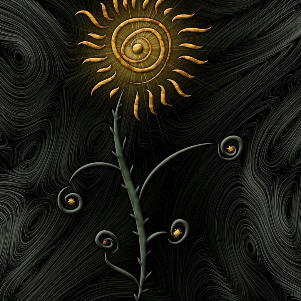 Цветок солнца