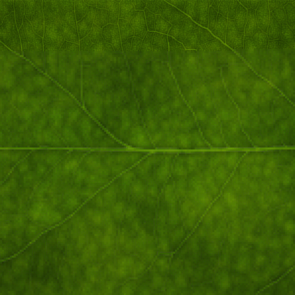 Зеленая листва