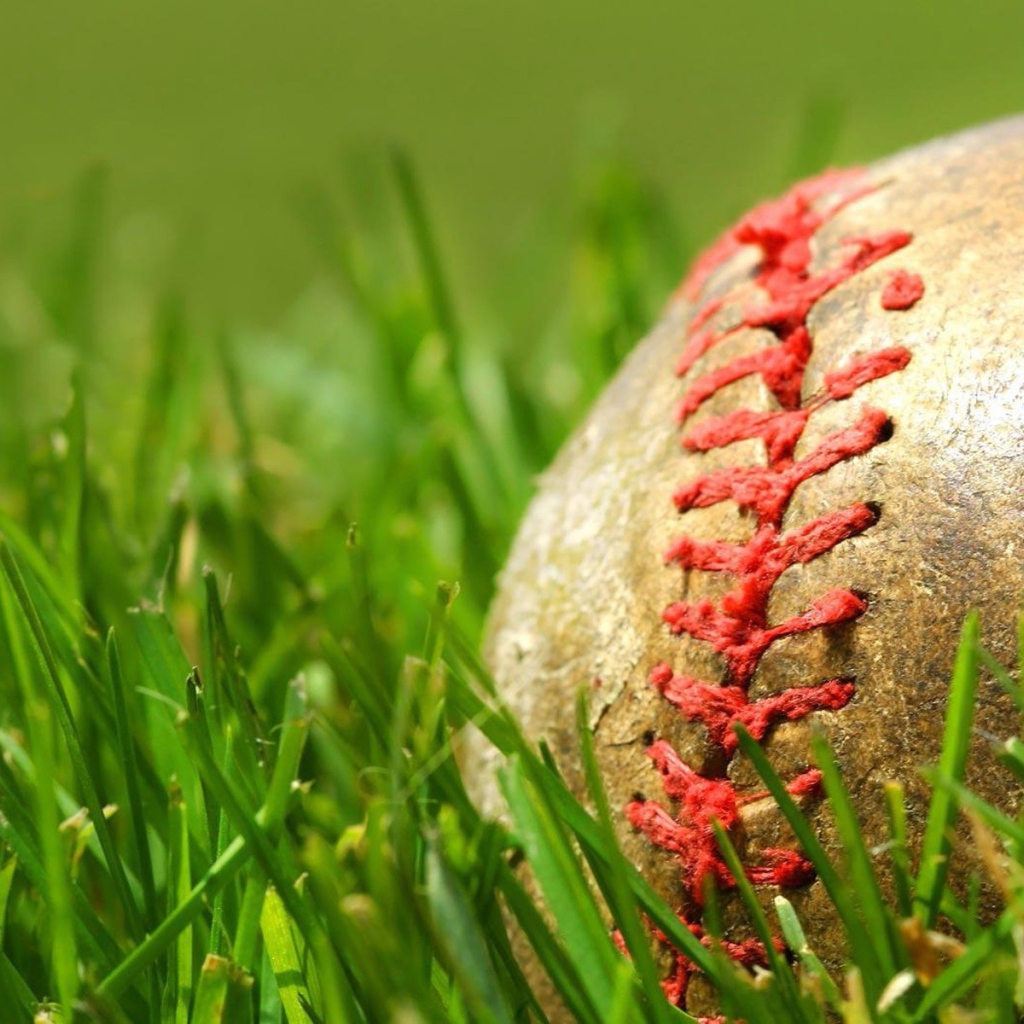 Зеленая трава и мяч