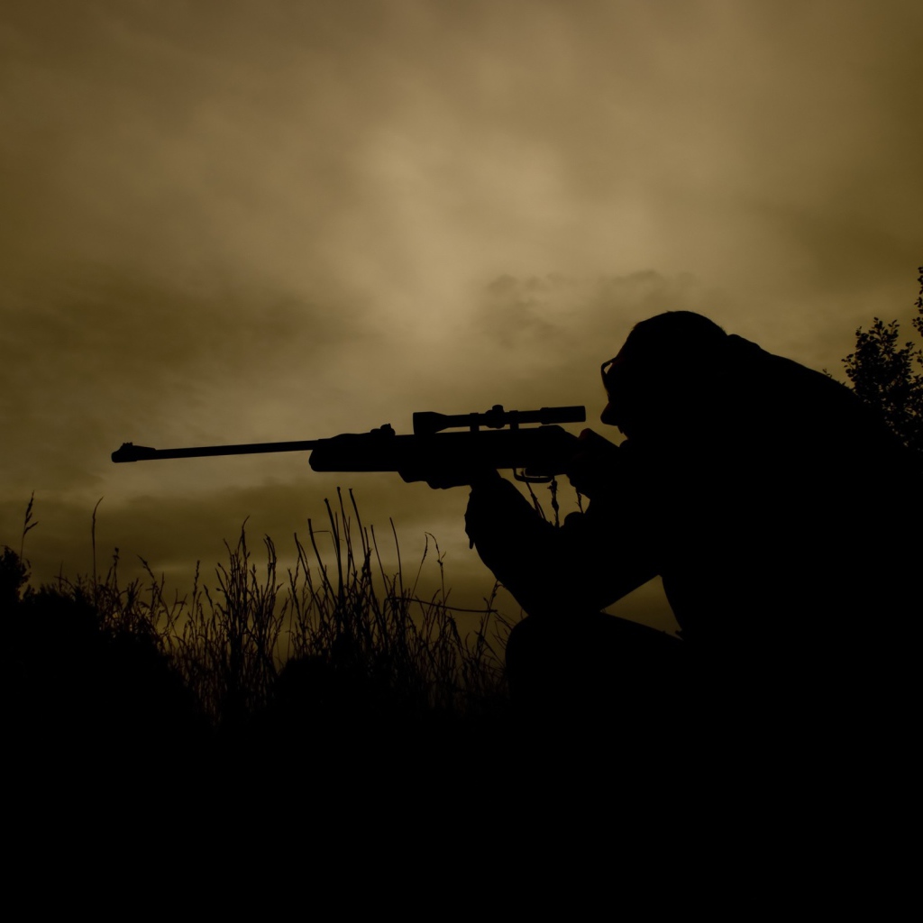 Ночной снайпер