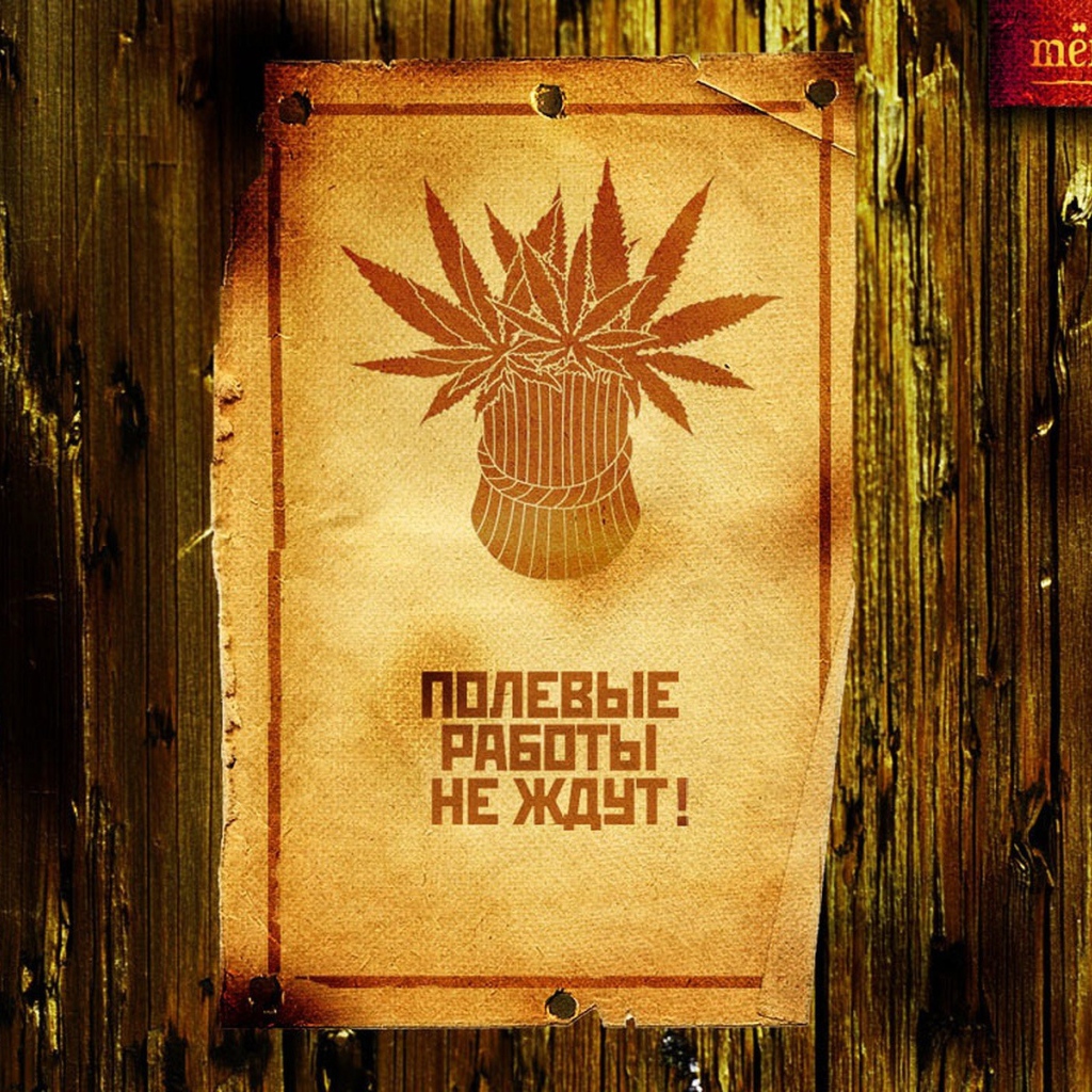 Сбор веселого урожая