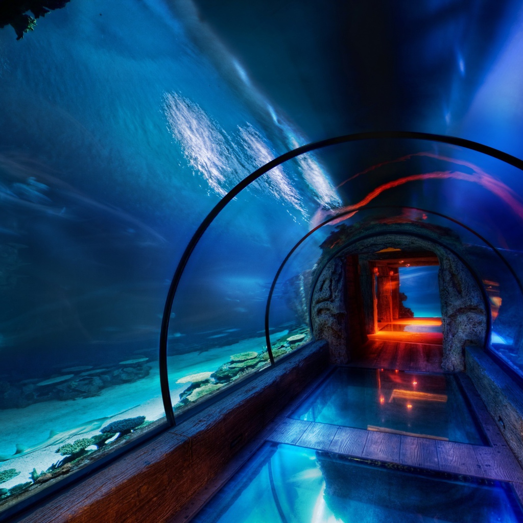 Подводный музей