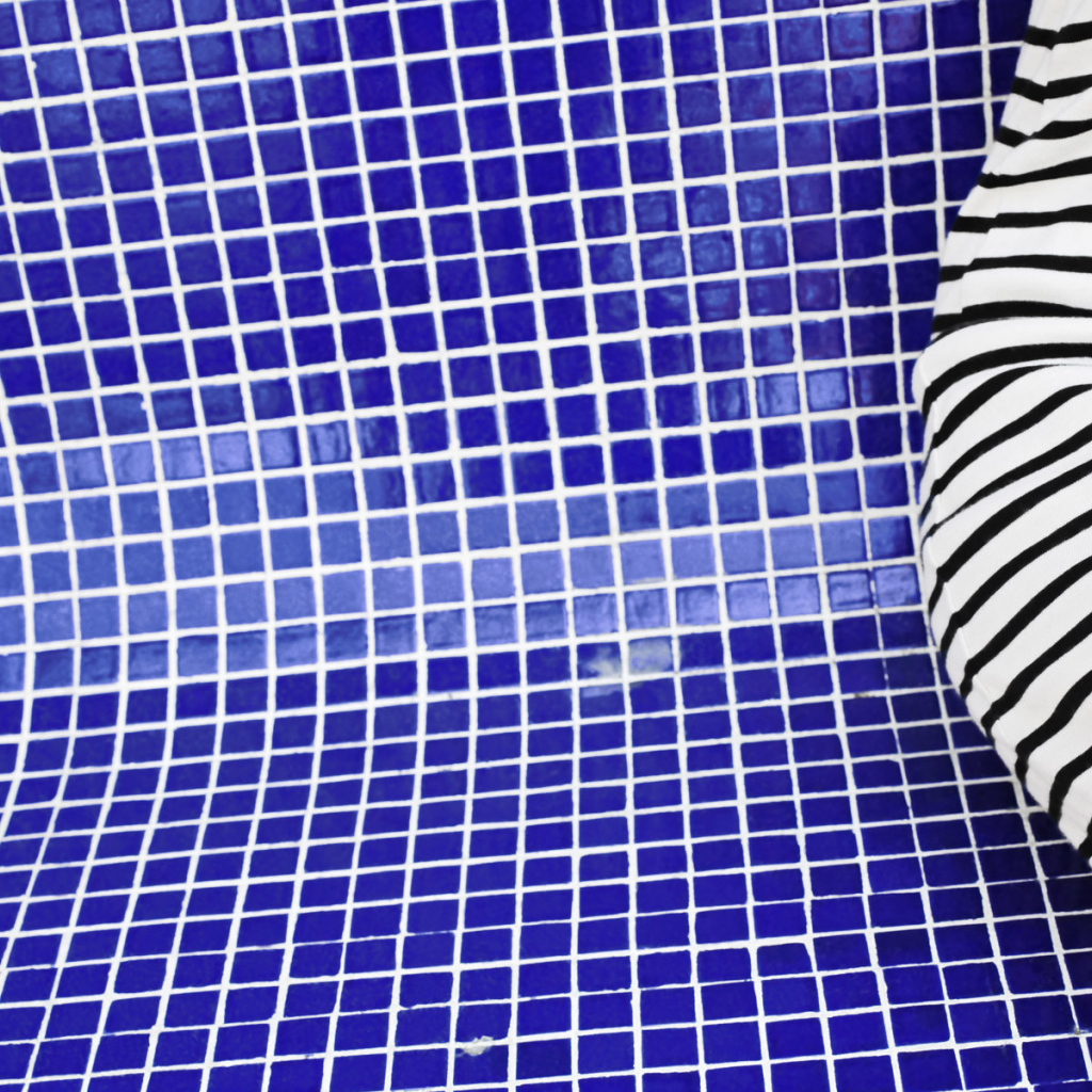 Зебра в бассейне