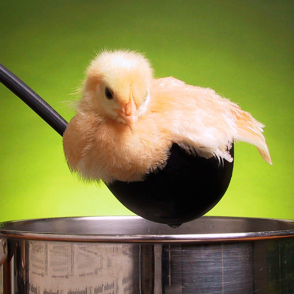 Попал в суп