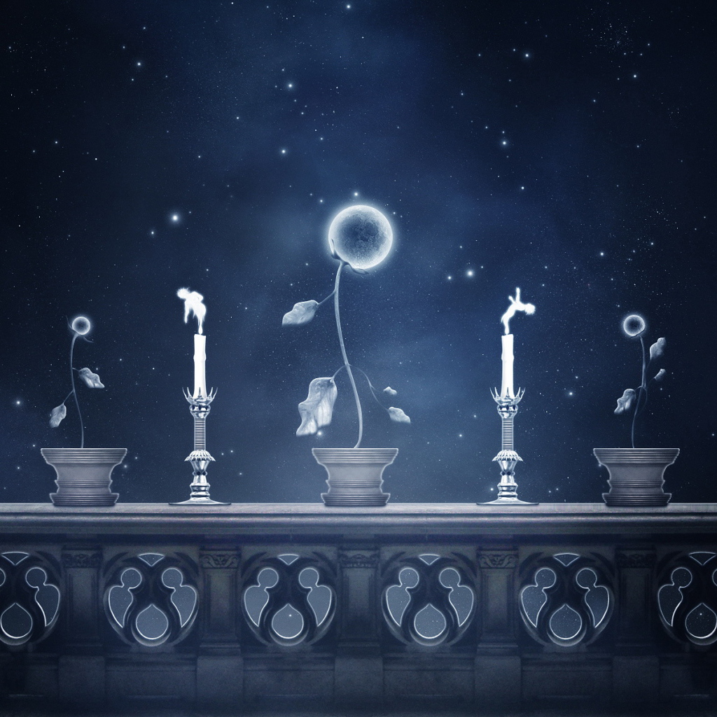 Небесные цветы