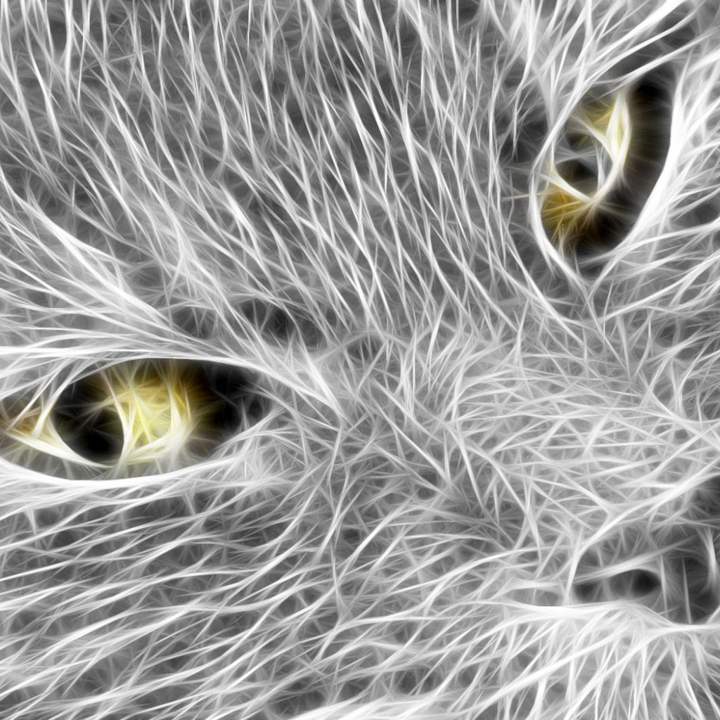 Кошачья мордочка