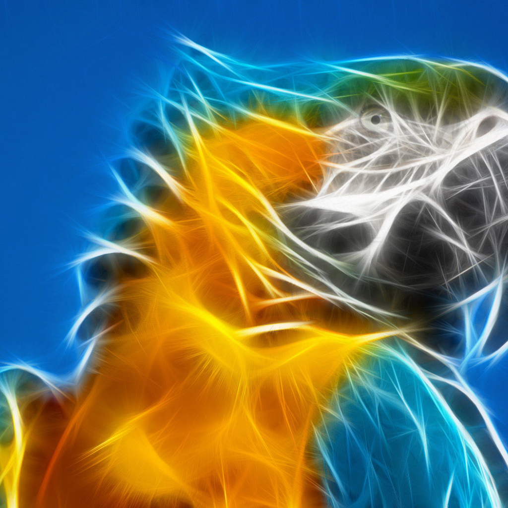 Разноцветный попугай