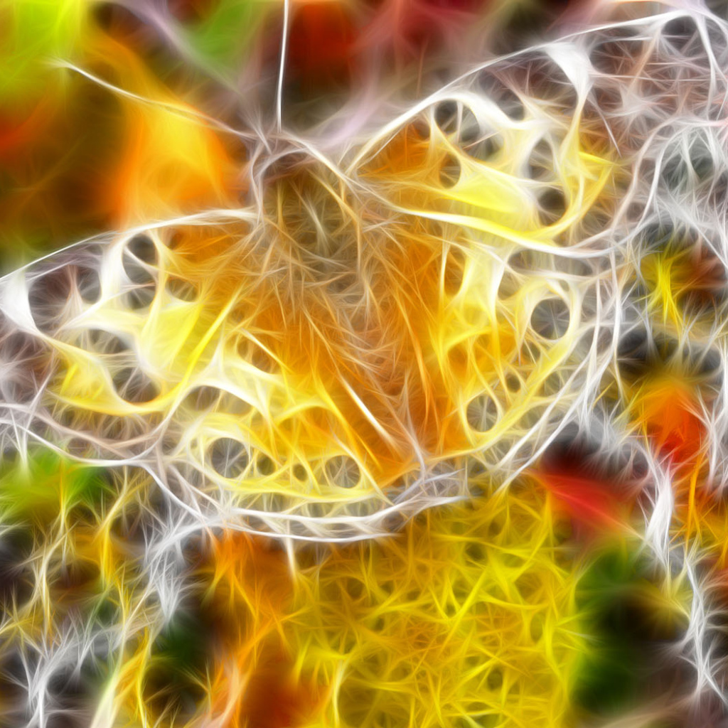 Сказочная бабочка