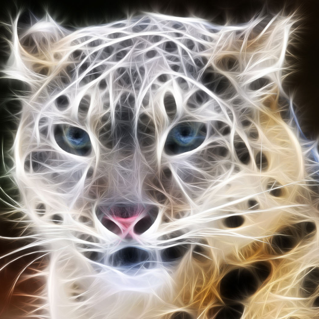 Взгляд хищника