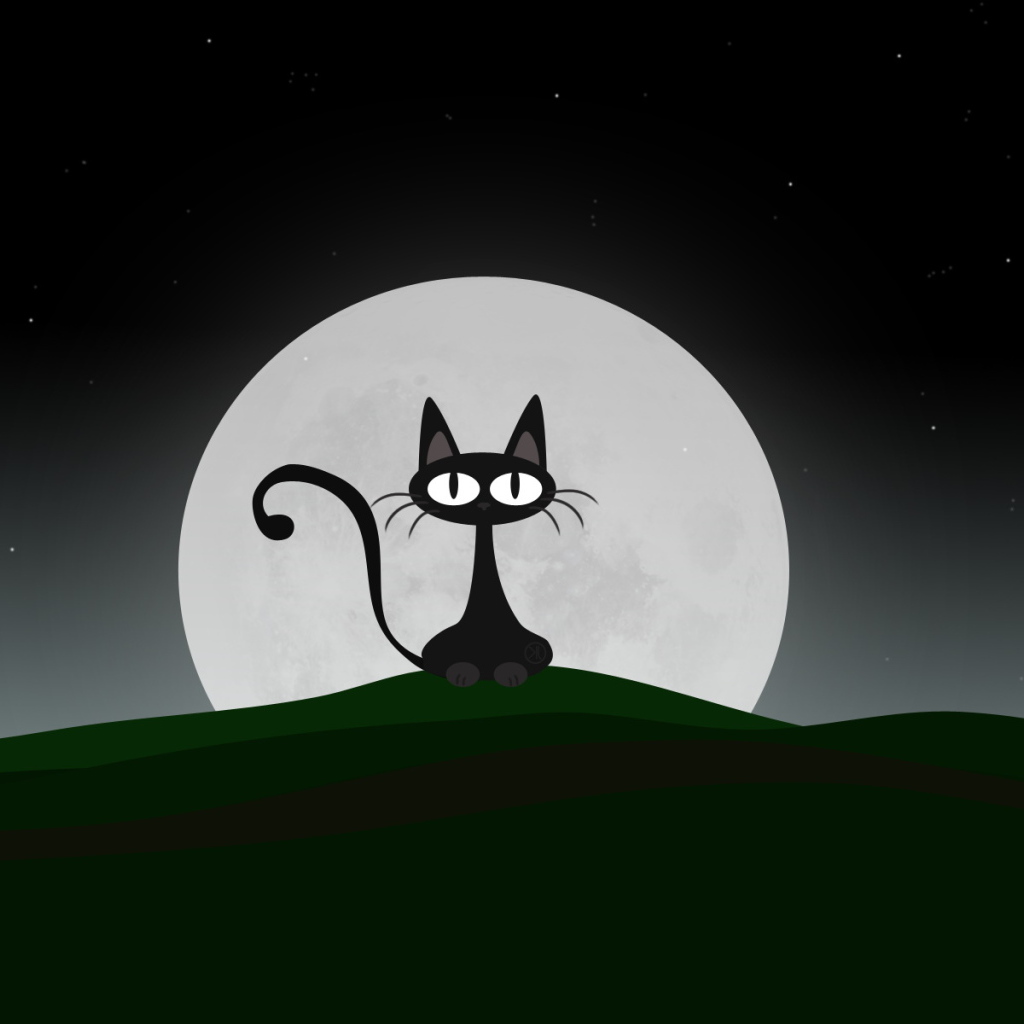 Ночная кошка