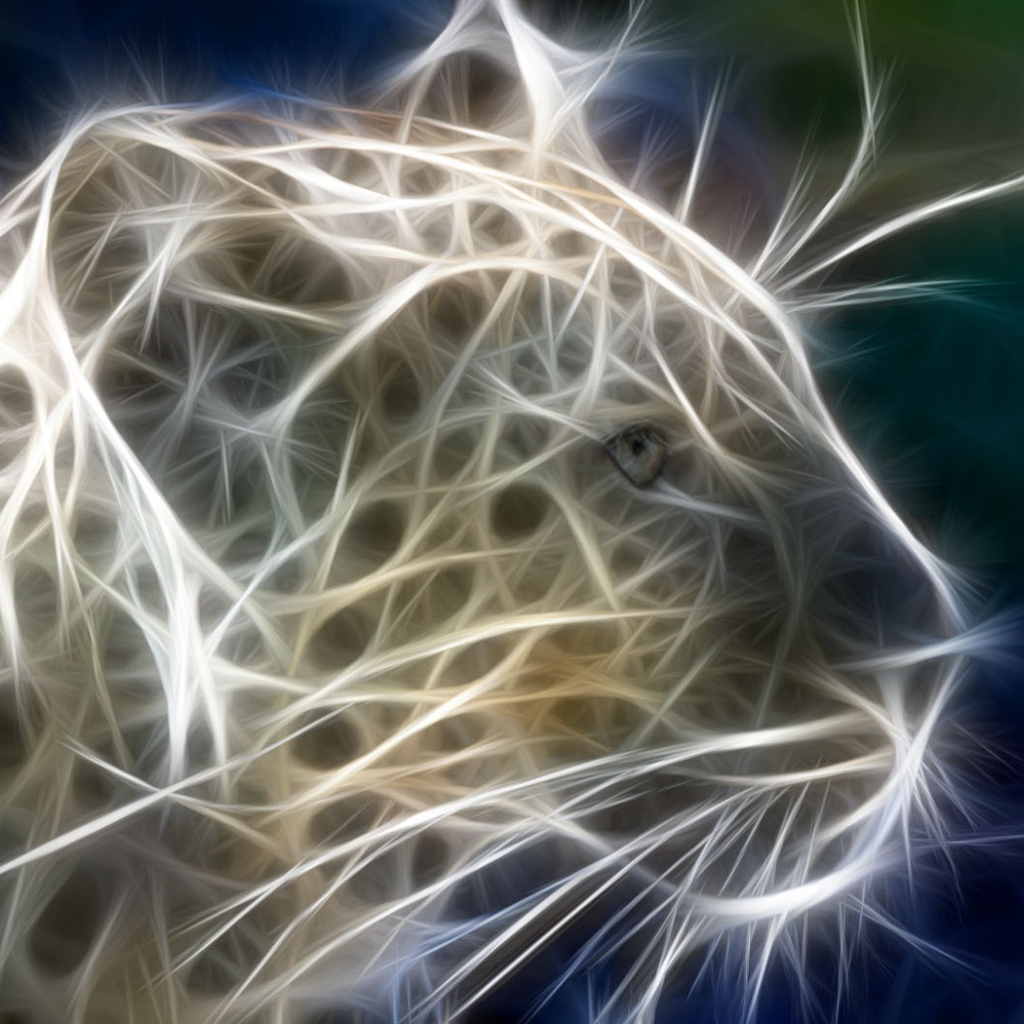 Хищная кошка