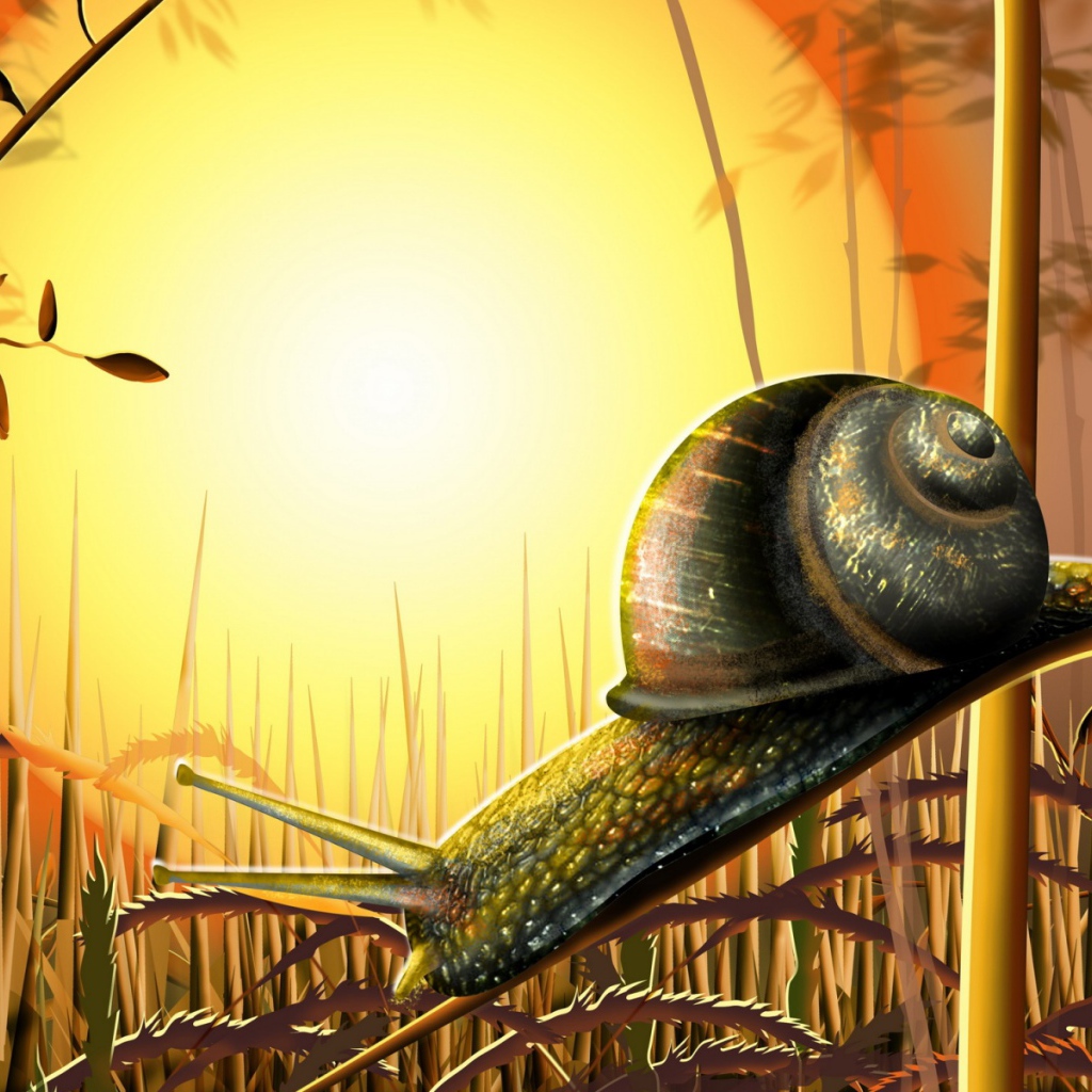 Улитка под солнцем