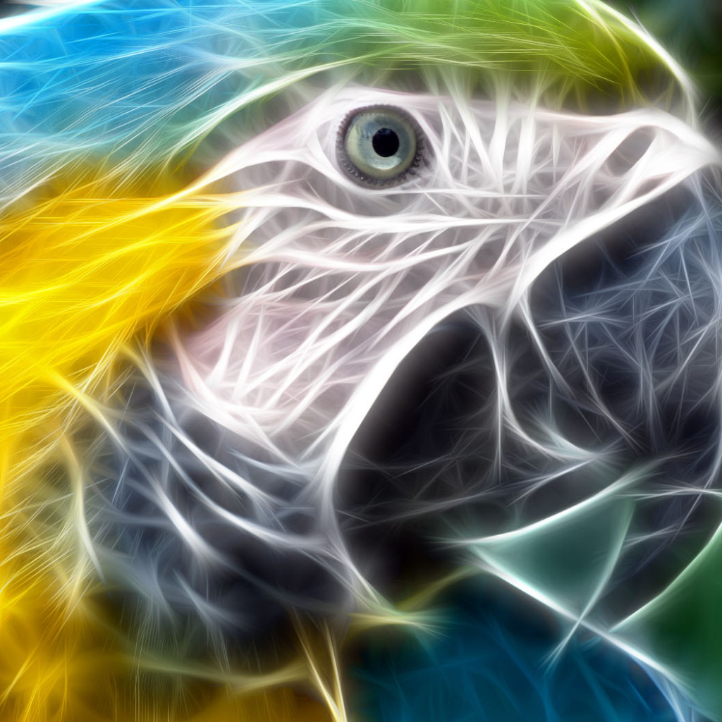 Тропический попугай