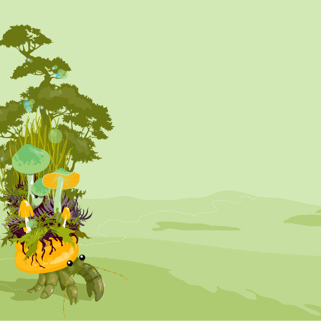 Грибы  на панцире