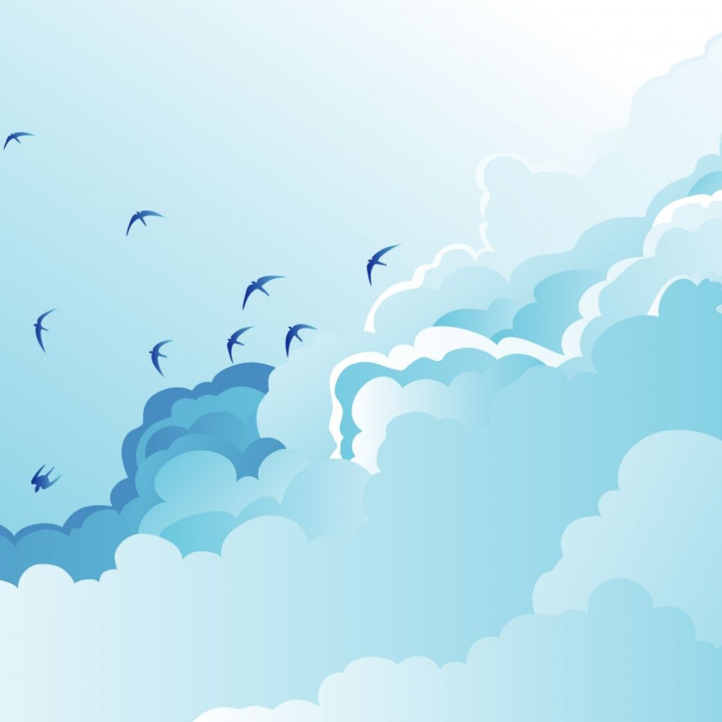 Чайки в облаках
