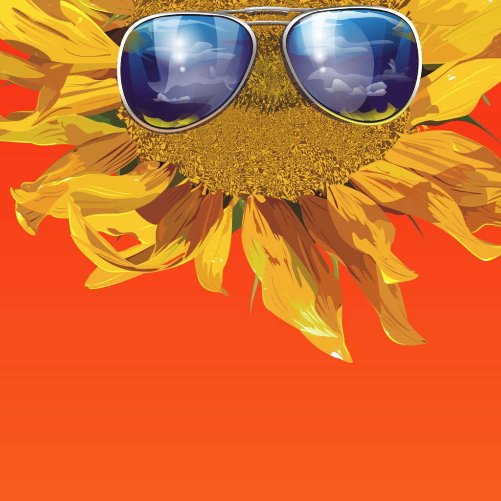 Солнечные очки