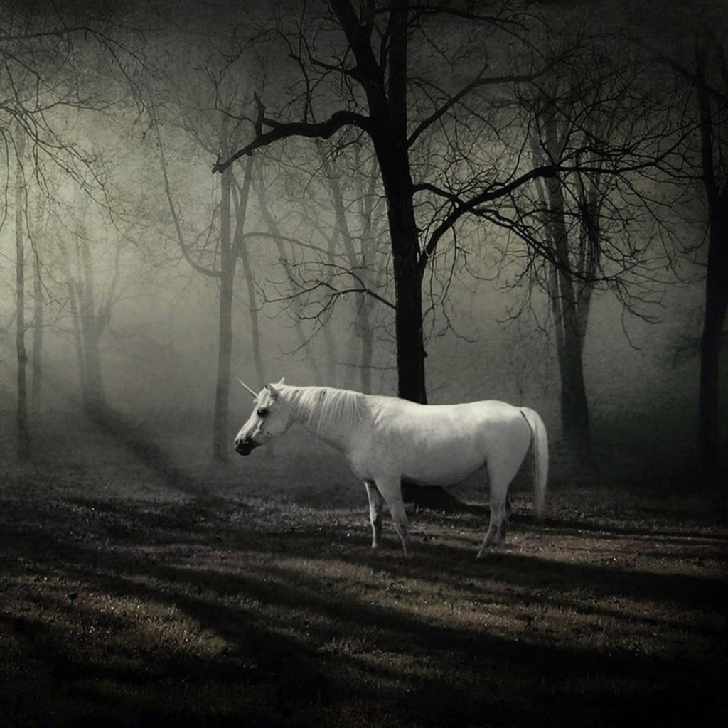 Сказочное животное