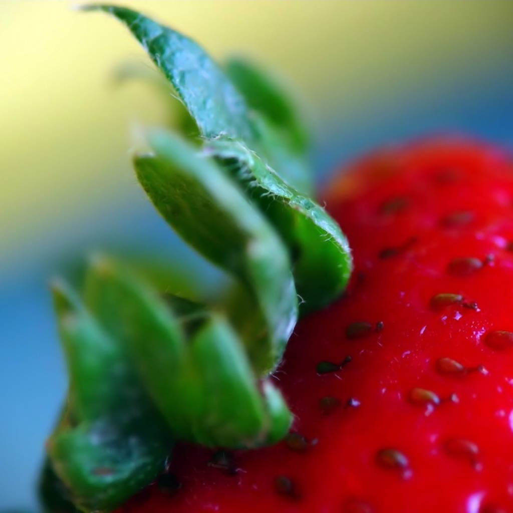 Вкусная клубника