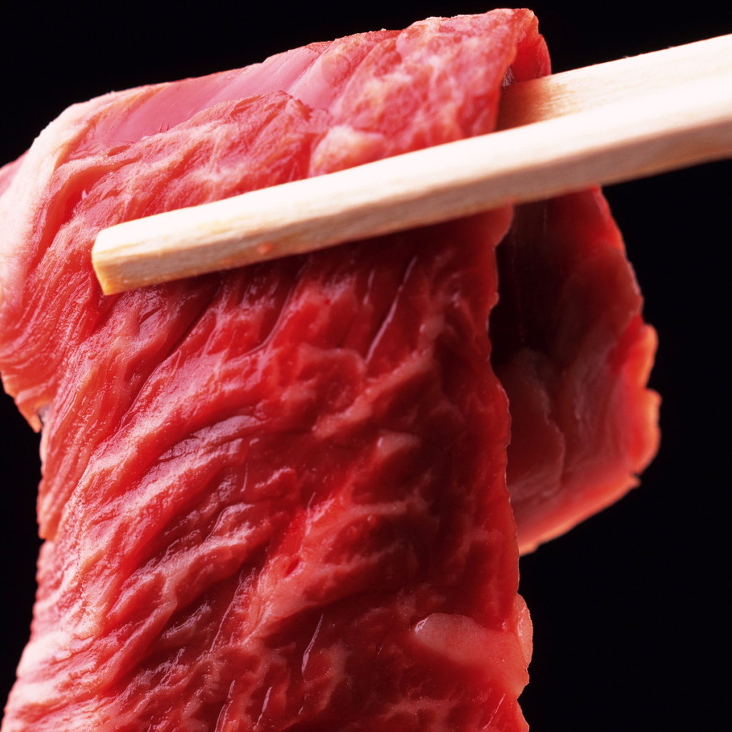 Кусочек мяса на палочках